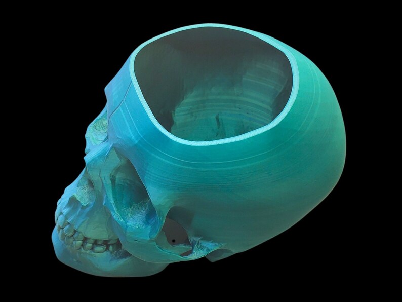May include: A teal blue ceramic skull planter with the top of the skull removed, revealing the inside of the planter. The skull is tilted to the side.