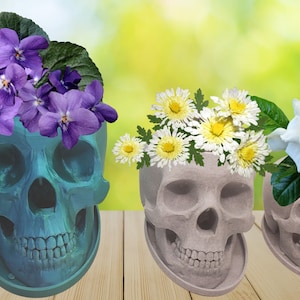 May include: Three skull-shaped planters, each with a different type of flower. The first planter is teal blue and has purple flowers. The second planter is gray and has white flowers. The third planter is gray and has white flowers with green leaves.