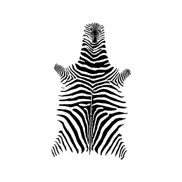 Zebra Design - Digital Download SVG & PNG File