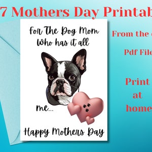 Tarjeta del Día de la Madre con un Boston Terrier, del perro. Tarjeta del Día de la Madre para mamá, de su bebé peludo especial.
