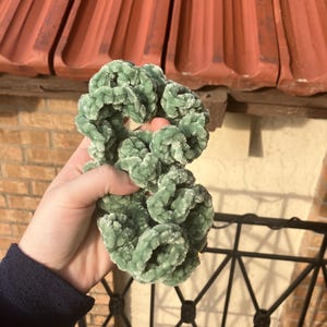 Juicy Couture scrunchies