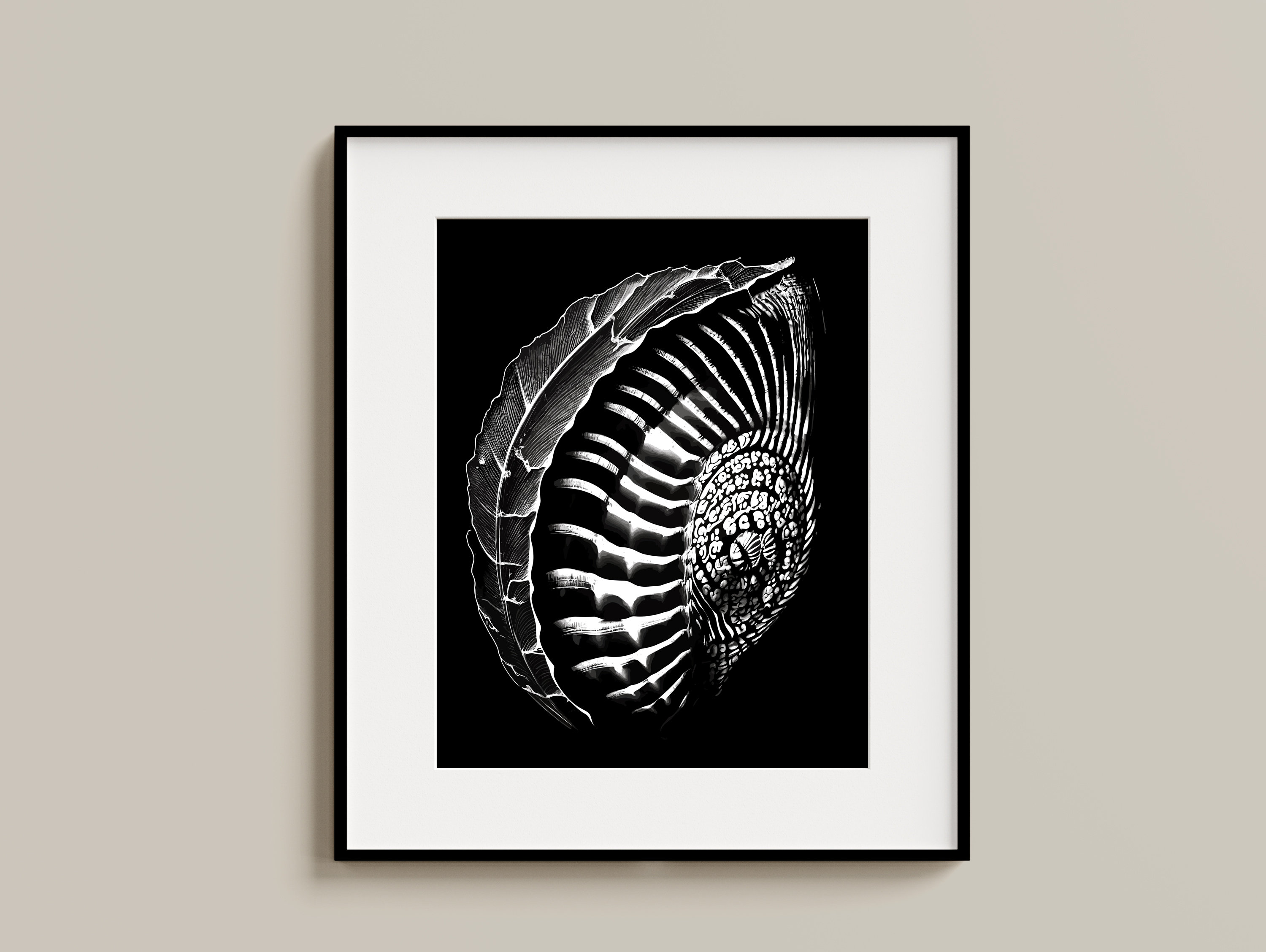 Shell in Shade Black and White Digital Art - Etsy