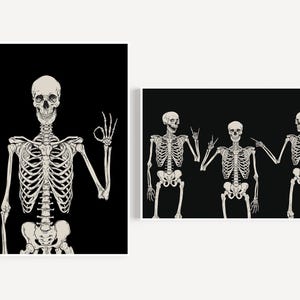 May include: Three skeletons on a black background. The skeleton on the left is making an okay sign with its hand. The skeleton in the middle is making a peace sign with its hand. The skeleton on the right is making a peace sign with its hand.