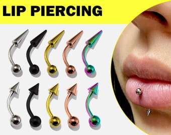 Vertical Labret Lip Piercing Titanium Ball and Spike in Many Colors - 18G 16G 14G Eyebrow Piercing, Belly Ring, Rook Earring, Lip Ring