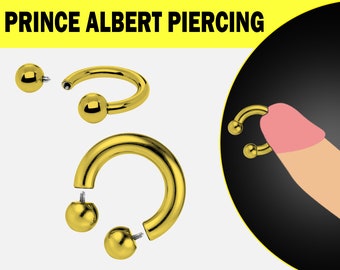 Gold Prince Albert Piercing, PA-Ring – Circular Barbell, Horseshoe Barbell 10G bis 00G Body Piercing