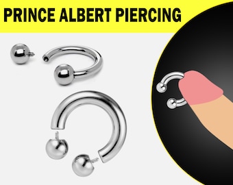 Piercing Prince Albert, bague PA - Piercing d'haltères circulaire, fer à cheval 10G à 00G