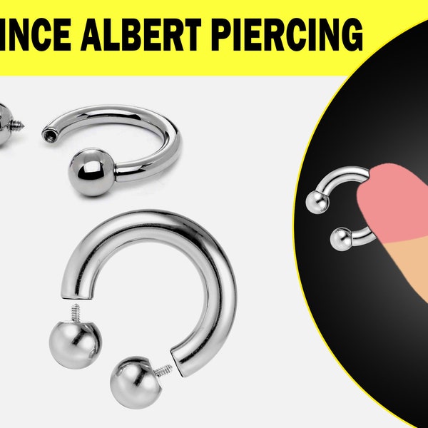 Prince Albert Piercing, PA Ring - Circular Barbell, Horseshoe Barbell 10G to 00G Body Piercing