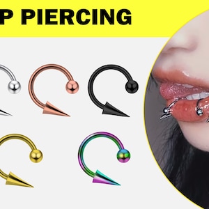 Snake Bite Piercing, Titanium CBB/CBR Horseshoe Barbell with Ball and Spike  in many Colors - 18G 16G 14G Septum Ring, Lip Ring, Lip Jewelry