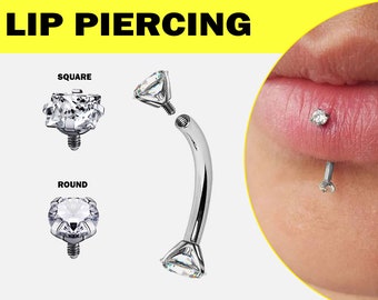 Titanium Prong Set Crystal Vertical Labret Piercing Internally Threaded - 16G Eyebrow Piercing, Belly Ring, Rook Earring, Lip Ring