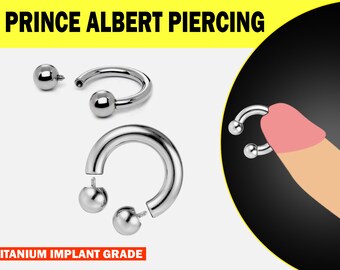 Prince Albert Piercing, PA Ring - Titanium Circular Barbell, Horseshoe Barbell 10G to 00G Body Piercing