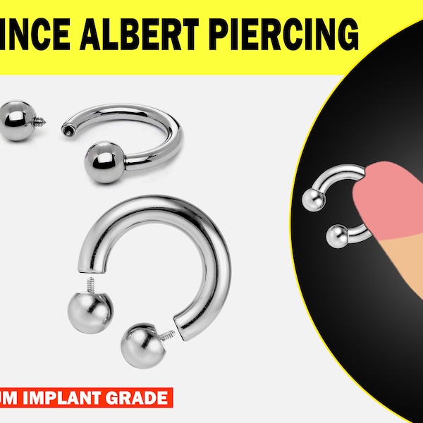 prince-albert-titanium-jewelry-etsy