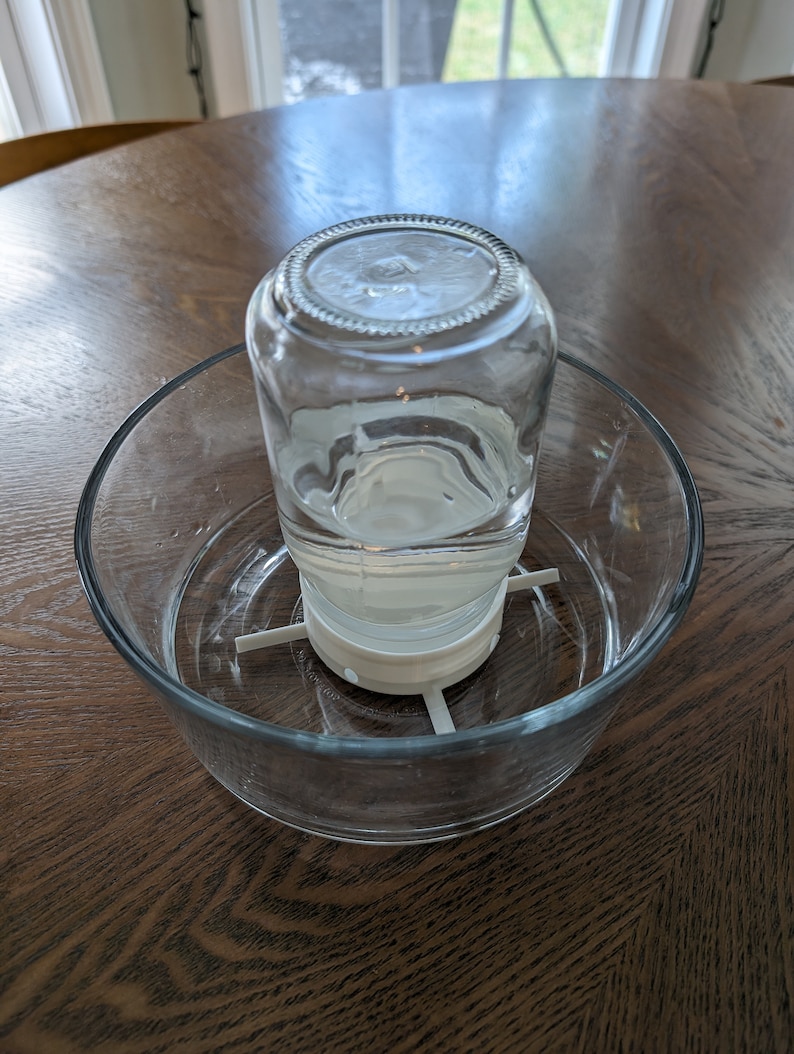 May include: A clear glass jar with a white plastic base sits inside a clear glass bowl on a wooden surface.