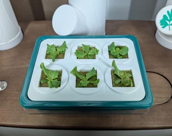 Compatible Gardyn - High-Efficiency Indoor Garden Nursery, works with yCubes and Grow Cubes