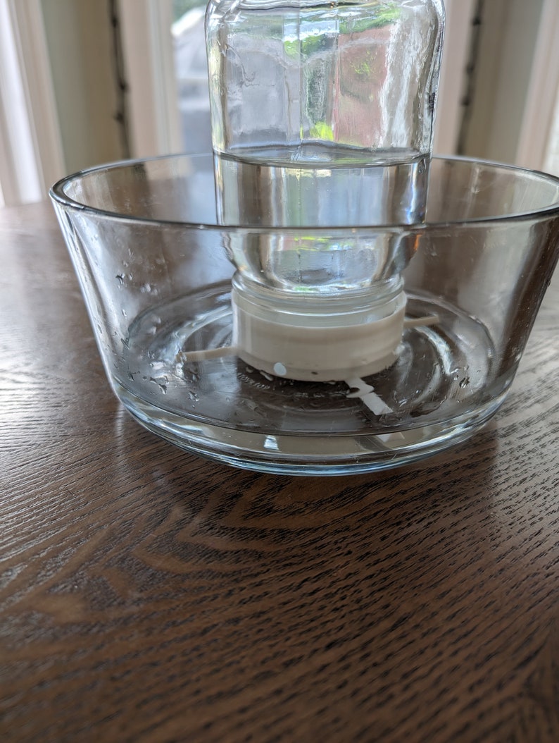 May include: A clear glass jar filled with water sits on a clear glass dish with a white plastic ring around the jar. The jar and dish are on a wooden surface.