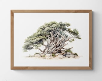 Watercolour Painting of a Juniper Tree, Printable Digital Art, Trees, Scenery, Landscape Art