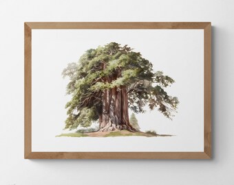 Majestic Sequoia Tree, Printable Watercolour Digital Art, Trees, Scenery, Landscape Art