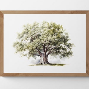Ash Tree Watercolour Printable Digital Art, Bring the Outdoors Inside, Trees, Scenery, Landscape Art