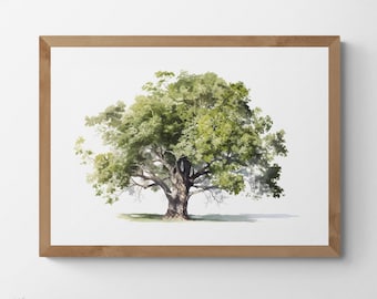 Charming Sycamore Tree, Printable Watercolour Digital Art, Trees, Scenery, Landscape Art