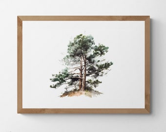 Watercolour Painting of a Pine Tree, Printable Digital Art, Trees, Scenery, Landscape Art