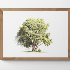 Dipinto ad acquerello di un pioppo, arte digitale stampabile, alberi, paesaggi, arte paesaggistica