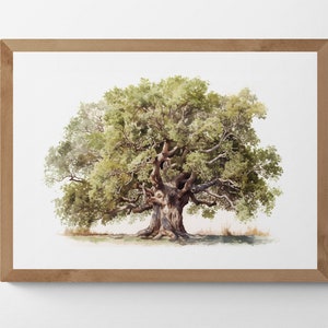 Walnut Tree Watercolour Painting Printable Digital Art, Trees, Scenery, Landscape Art