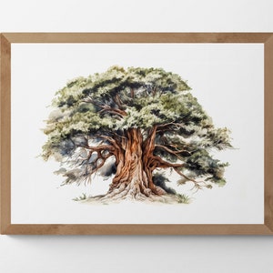 Cedar Tree Watercolour Printable Digital Art, Bring Nature Inside, Trees, Scenery, Landscape Art