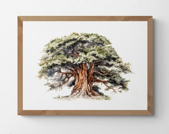 Cedar Tree Watercolour Printable Digital Art, Bring Nature Inside, Trees, Scenery, Landscape Art