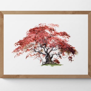 Watercolour Painting of a Japanese Maple Tree, Printable Digital Art, Trees, Scenery, Landscape Art