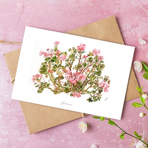 Postal botanica geranio, ilustracion acuarela, tarjeta con sobre, interior en blanco