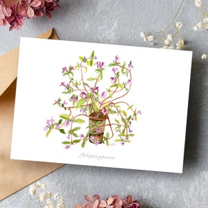 Tarjeta de regalo floral - ilustración botánica de flores silvestres - tarjeta de cumpleaños de flores