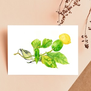 Papelería floral - ilustración de acuarela - tarjetas de flores silvestres - estampado de flores - tarjeta interior en blanco a6