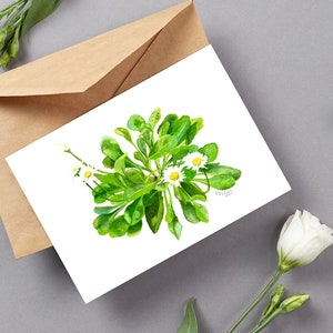 Papeterie botanique, imprimés de fleurs sauvages, illustration aquarelle, notecard fleur marguerite, cadeau maman