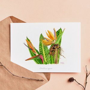 Impresión de arte de ave del paraíso, tarjetas de cumpleaños, tarjetas de arte floral, tarjeta de acuarela
