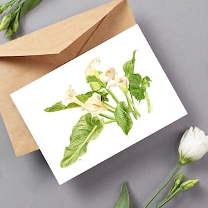 Tarjeta con ilustracion floral acuarela, tarjeta de felicitacion a6 con sobre kraft