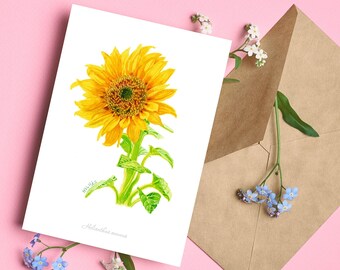 Carte de voeux tournesol, carte postale aquarelle, carte pliée a6, papeterie botanique
