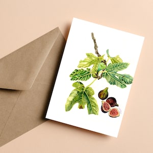 Carte botanique aquarelle figuier - notecard plié a6 - imprimés botaniques