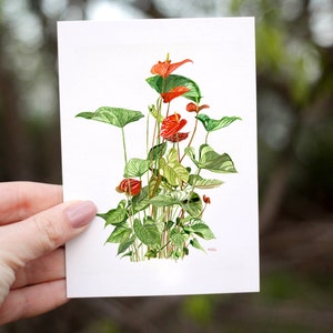 Biglietto da visita floreale ad acquerello - carta d'arte floreale a6 - illustrazione ispirata alla natura - cancelleria per carte botaniche