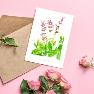 Carte botanique Salvia, impression aquarelle, notecard de fleurs sauvages, carte d'anniversaire vierge, esthétique florale