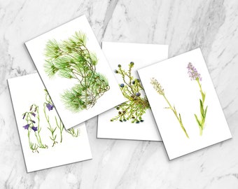 Botanische Karten 4er Set - Aquarell Grußkarten 4er Pack - illustrierte Postkarten