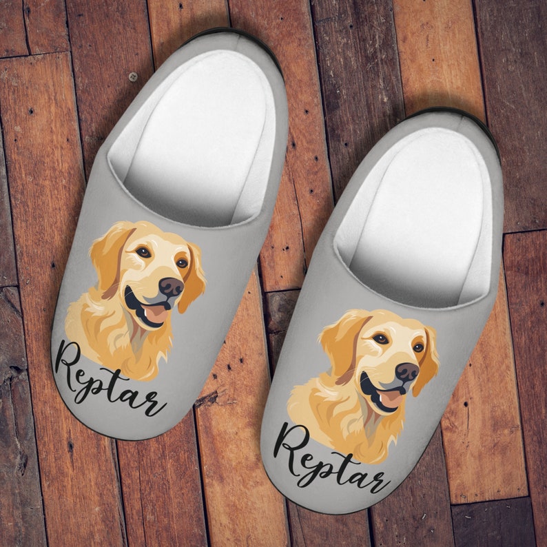 Best Golden Retriever Gifts