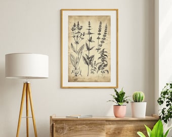 Vintage Herb Print Gift for Plant Lover Antique Herbarium Print Vintage Botanical Print Wildflower Art Herb Drawing Gift for Nature Lover