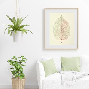 Könnte beinhalten: Ein weißes Sofa mit zwei hellgrünen Kissen und einer weißen Decke. Ein gerahmtes Bild mit einem einzelnen Blatt mit roten und grünen Adern hängt an der Wand über dem Sofa. Zwei Topfpflanzen stehen im Raum, eine hängt von der Decke und die andere steht auf dem Boden.