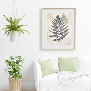 Fern Illustration Minimalist Botanical Art Gift for Plant Lover Fern Leaf Wall Art for Living Room Vintage Botanical Print Gift for Botanist
