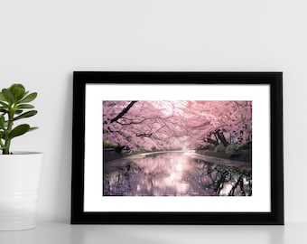 Japanese Cherry Blossom Tree Print of Pink Sakura Blossoms Tranquil and Relaxing Japan Landscape Art for Pink Home Decor