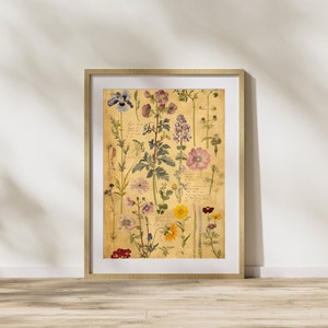 Arte de flores silvestres, impresión botánica antigua, libro de herbario vintage para amantes de la naturaleza, regalo, ilustraciones botánicas, impresión botánica para amantes de las plantas