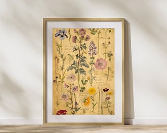 Arte de flores silvestres, impresión botánica antigua, libro de herbario vintage para amantes de la naturaleza, regalo, ilustraciones botánicas, impresión botánica para amantes de las plantas