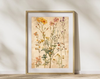 Wildflower Art Antique Botanical Print Vintage Herbarium Book for Nature Lover Gift Botanical Illustrations Botany Print for Plant Lover