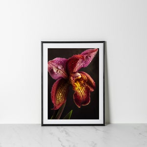 Orchid Print Gift for Plant Lover Botanical Artwork Purple Orchid Plant Moody Art Hyper Realistic Art Elegant Home Decor Nature Lover Gift