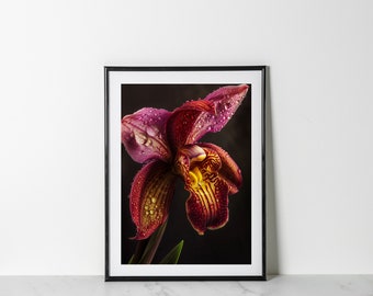Orchid Print Gift for Plant Lover Botanical Artwork Purple Orchid Plant Moody Art Hyper Realistic Art Elegant Home Decor Nature Lover Gift