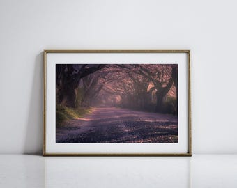 May include: A winding path lined with trees in full bloom, the pink blossoms creating a canopy overhead. The path leads into a misty, ethereal forest, bathed in soft, golden light.